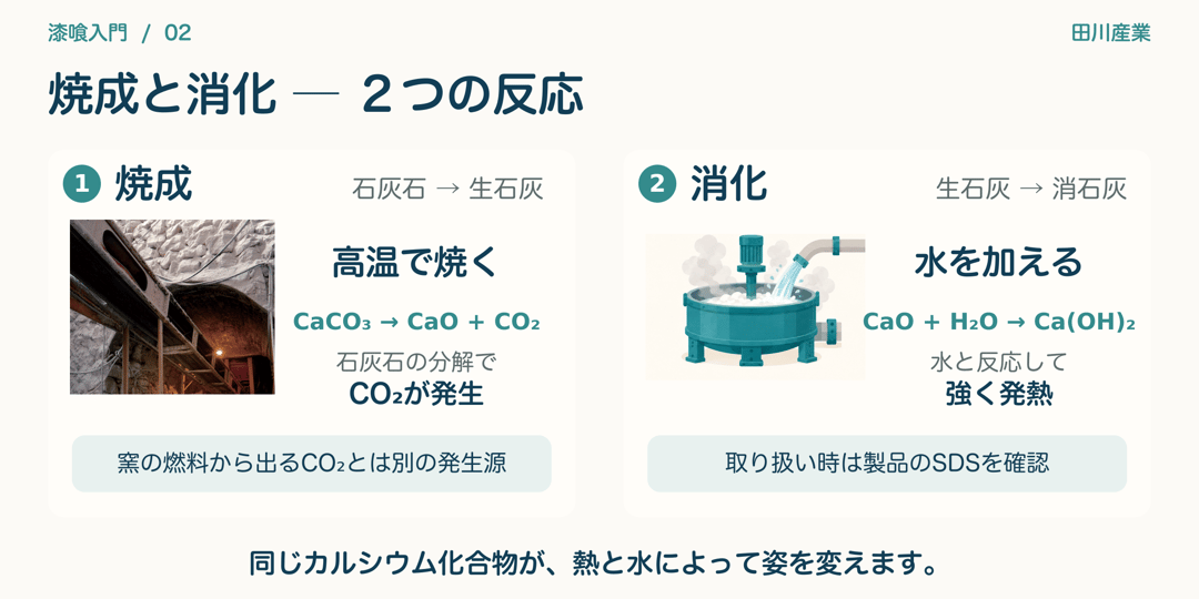 実際の窯の写真と消化設備のイラストで、焼成と消化の2つの反応を比較した図。焼成はCaCO₃からCaOとCO₂が生じ、石灰石の分解による二酸化炭素が発生する。消化はCaOにH₂Oを加えてCa(OH)₂にする反応で、強く発熱する。生石灰の取り扱い時は製品の安全データシートを確認する。