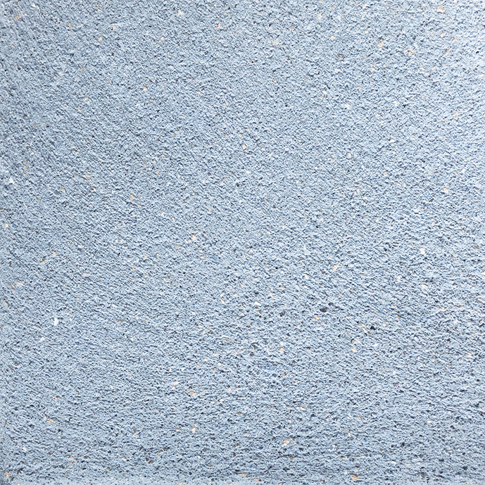 DS-801