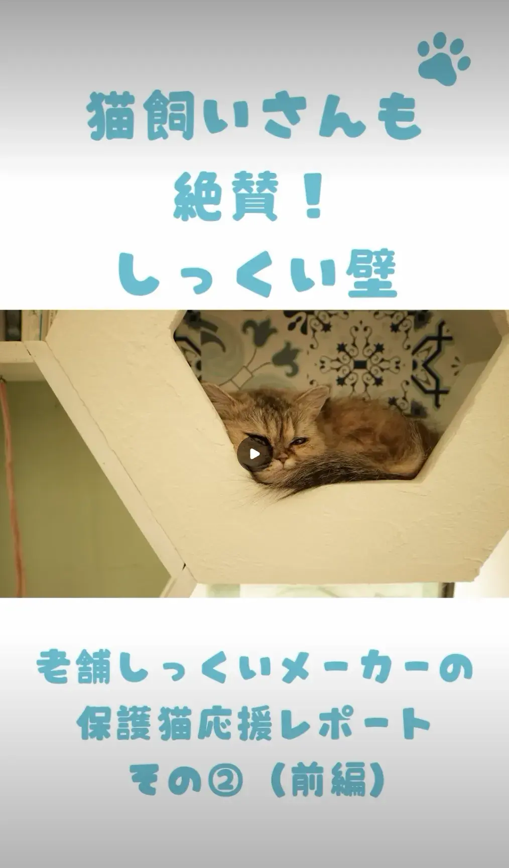 東京キャットガーディアン Instagramリール