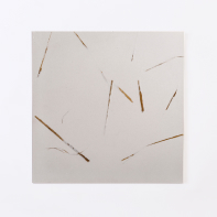 lm0001_tx_tsukinoishi